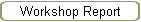 Workshop Report
