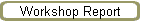 Workshop Report