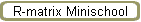 R-matrix Minischool