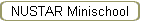 NUSTAR Minischool