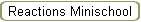 Reactions Minischool