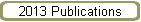 2013 Publications